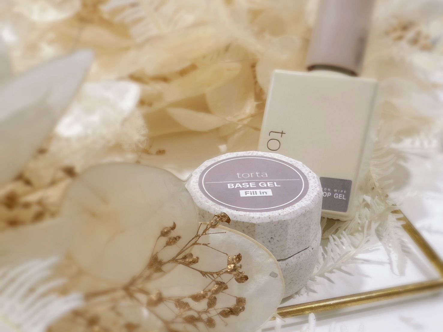 フィルインマスターセミナー（テキスト付き）  torta